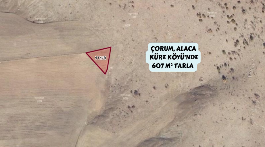 ÇORUM ALACA KÜRE KÖYÜNDE 607M² TARLAMIZ SATILIKTIR. - ÇORUM ALACA fotoğraf 3
